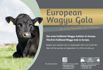 WAGYU-Auktions-Katalog
